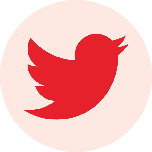 في النصف الأخير من عام 2022 شهد تويتر للإعلانات وبروفايل تويتر تطور ملحوظ مثل إضافة الموقع الجغرافي ومواعيد العمل في البروفايل وبالإضافة إلى منصة الإعلانات تم اضافة خاصية كتالوج للمنتجات تويتر، ونوع جديد من الاعلانات Conversion  وايضا تطور كبير في ربط Pixel  وتحديد الأحداث والجمهور المستهدف.